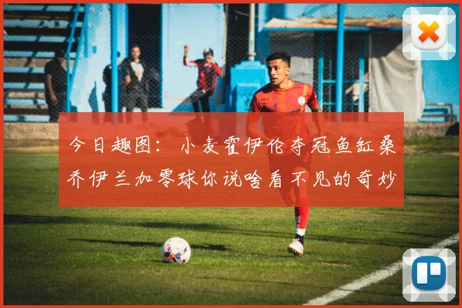 今日趣图：小麦霍伊伦夺冠鱼缸桑乔伊兰加零球你说啥看不见的奇妙瞬间
