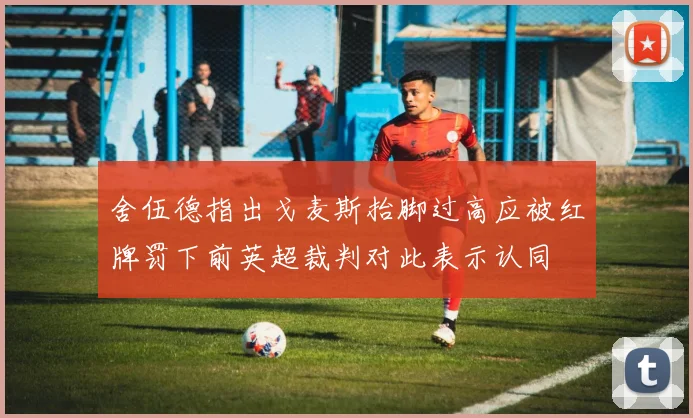 舍伍德指出戈麦斯抬脚过高应被红牌罚下前英超裁判对此表示认同