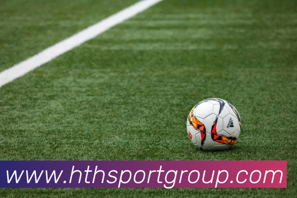 华体会足球平台生态图